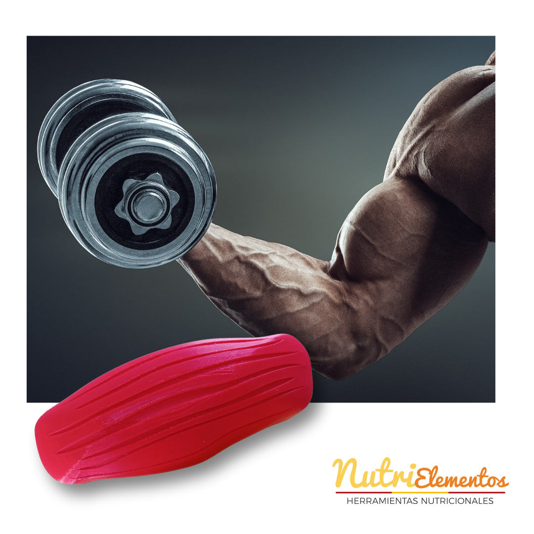 REPLICAS DE MUSCULO Y GRASA