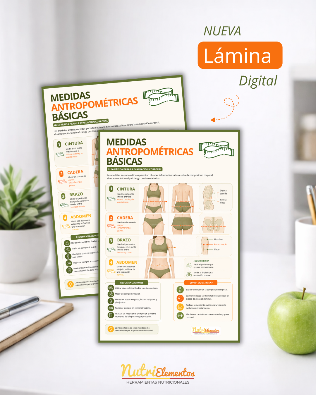 LAMINA MEDIDAS ANTROPOMETRICAS BASICAS - DIGITAL