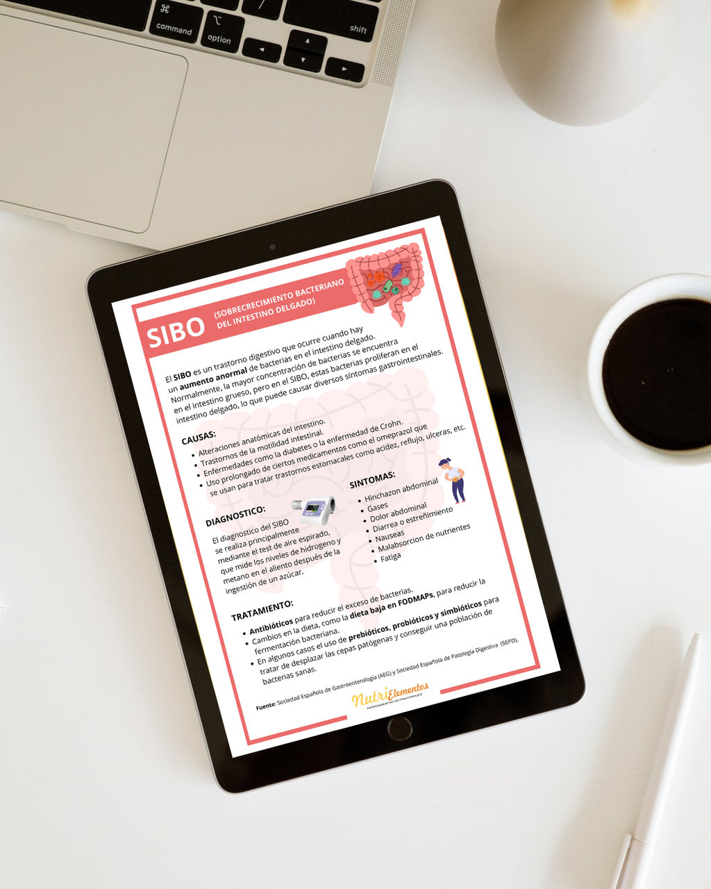 LÁMINA SIBO - DIGITAL