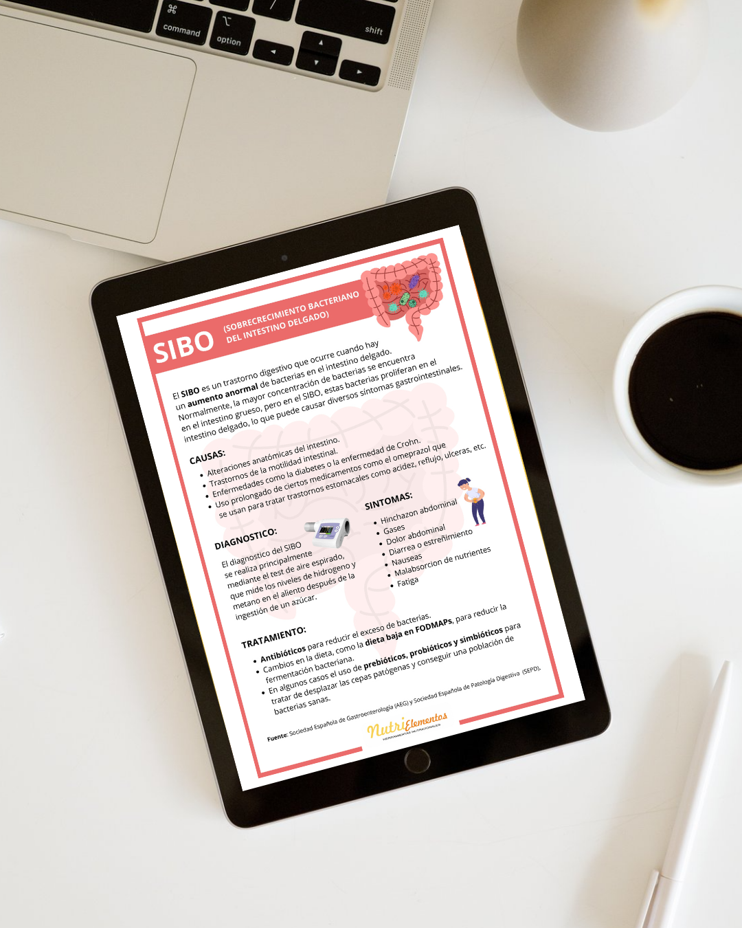 LÁMINA SIBO - DIGITAL