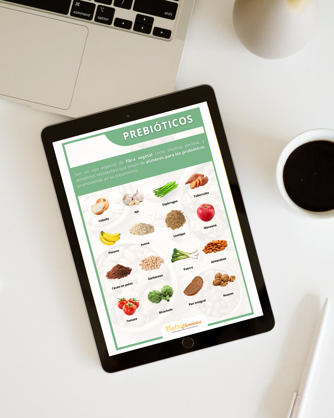 LÁMINA PREBIÓTICOS Y PROBIÓTICOS - DIGITAL