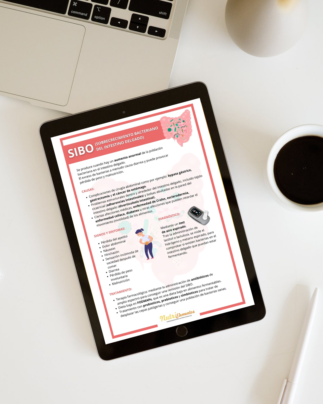 LÁMINA SIBO - DIGITAL