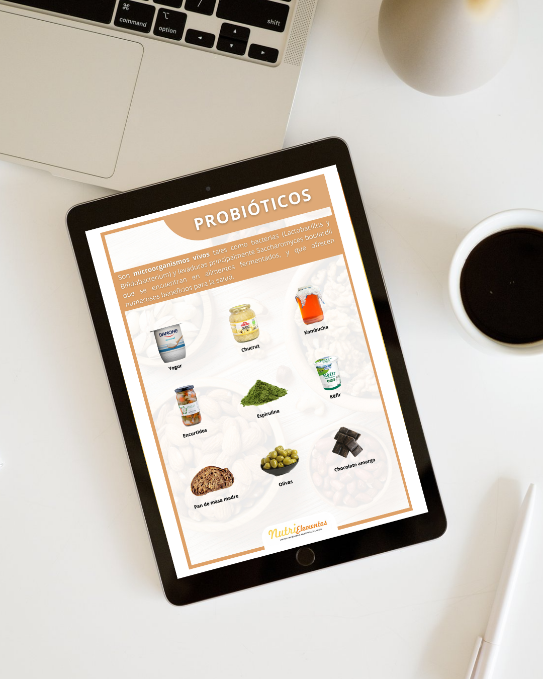 LÁMINA PREBIÓTICOS Y PROBIÓTICOS - DIGITAL