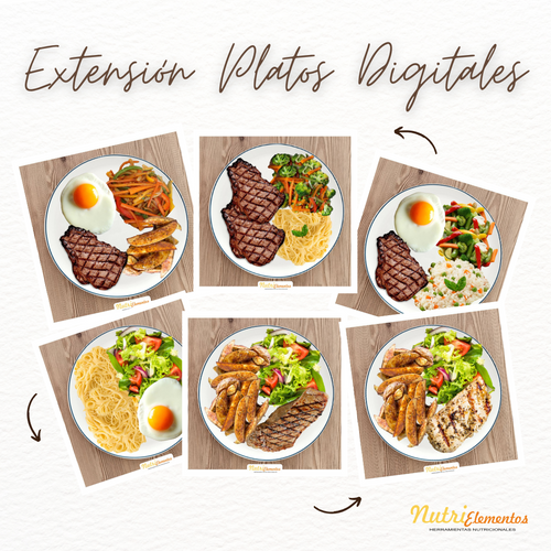 EXTENSIÓN PLATOS DIGITALES