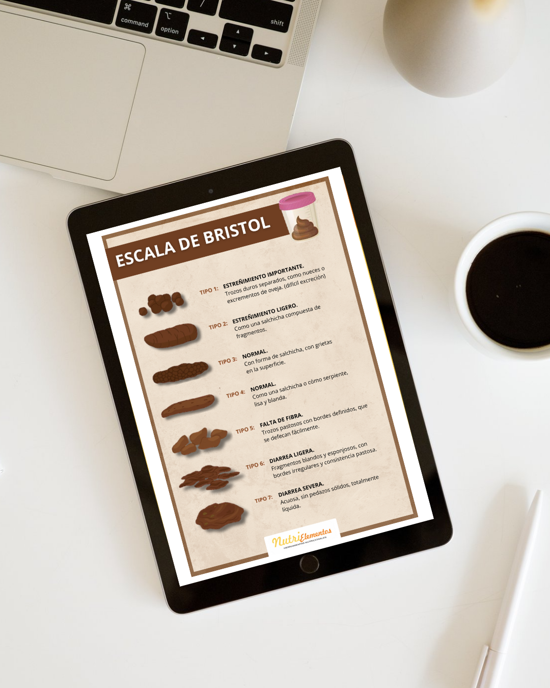 LÁMINA ESCALA DE BRISTOL - DIGITAL