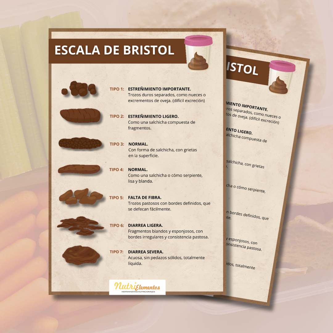LÁMINA ESCALA DE BRISTOL - DIGITAL