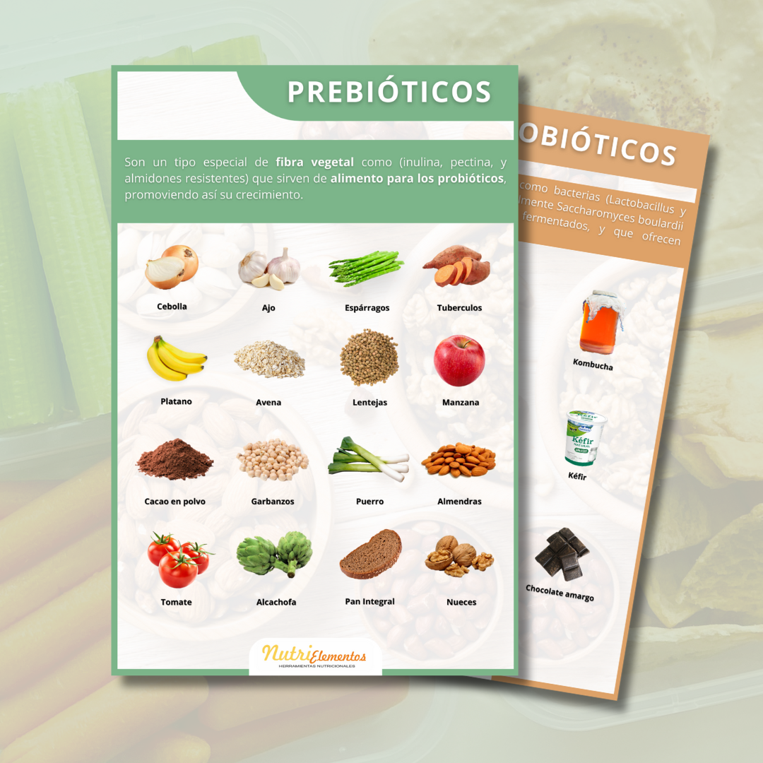 LÁMINA PREBIÓTICOS Y PROBIÓTICOS - DIGITAL